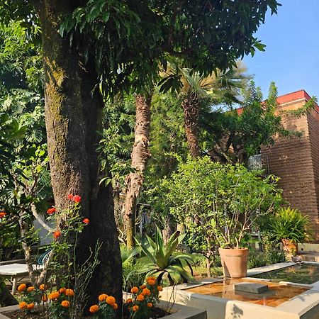 Hotel Casa Limon Malinalco Zewnętrze zdjęcie
