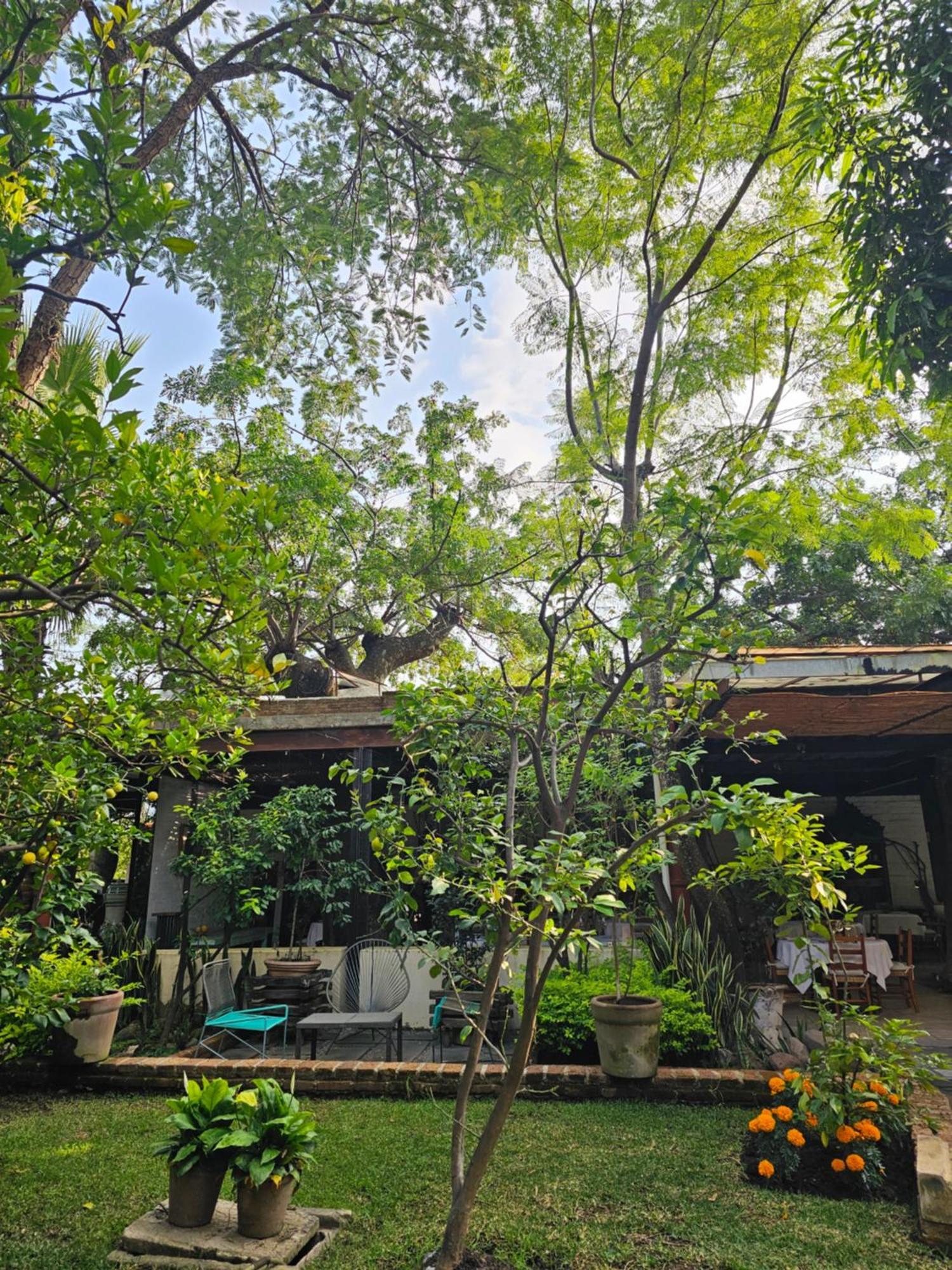 Hotel Casa Limon Malinalco Zewnętrze zdjęcie