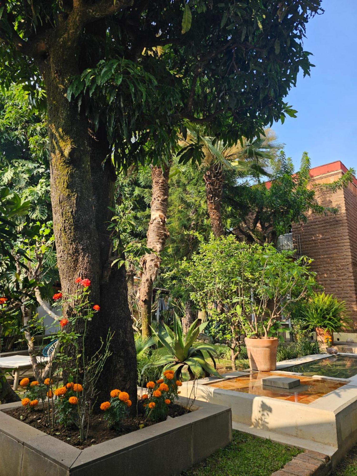 Hotel Casa Limon Malinalco Zewnętrze zdjęcie